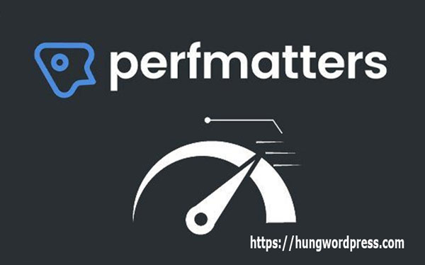 Perfmatters – Lightweight WordPress Performance Plugin