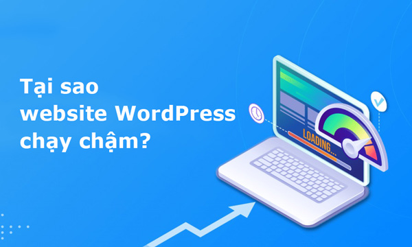 Tại sao website WordPress chạy chậm?