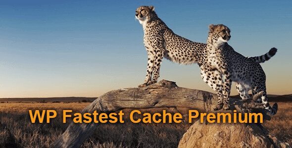 WP Fastest Cache Premium 1.7.3 – WordPress Plugin