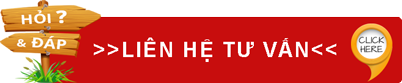 liên hệ tư vấn